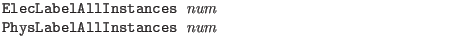 $\textstyle \parbox{4in}{\tt
ElecLabelAllInstances {\it num}\\
PhysLabelAllInstances {\it num}}$